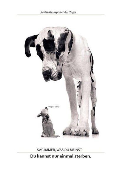sage immer, was Du meinst - Poster